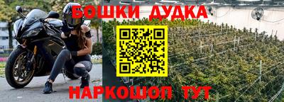 бошки Сланцы